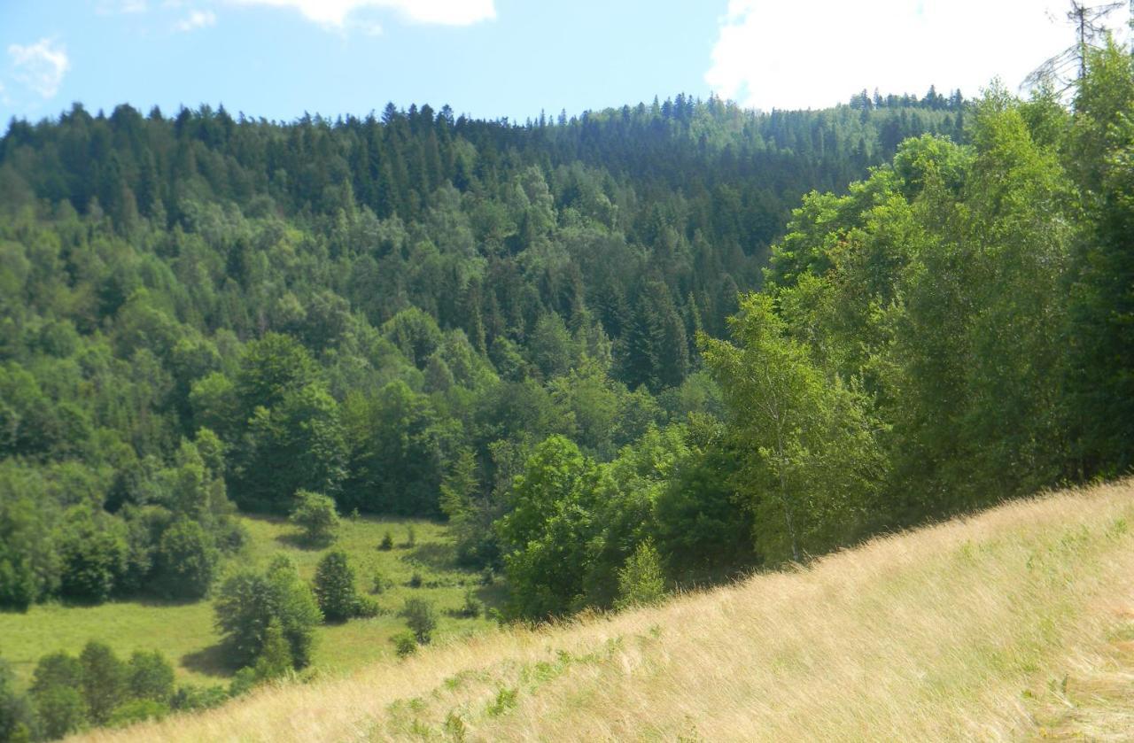 Dom w górach Przy szlaku Vila Bystra  Exterior foto